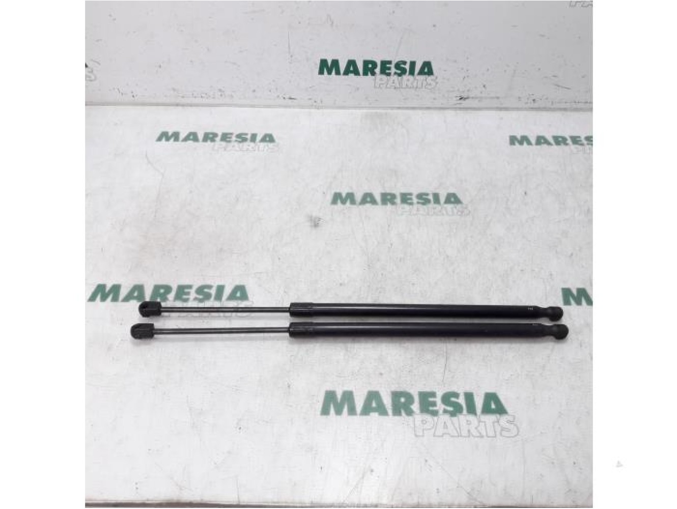 Fiat - 500L - Set of tailgate gas struts