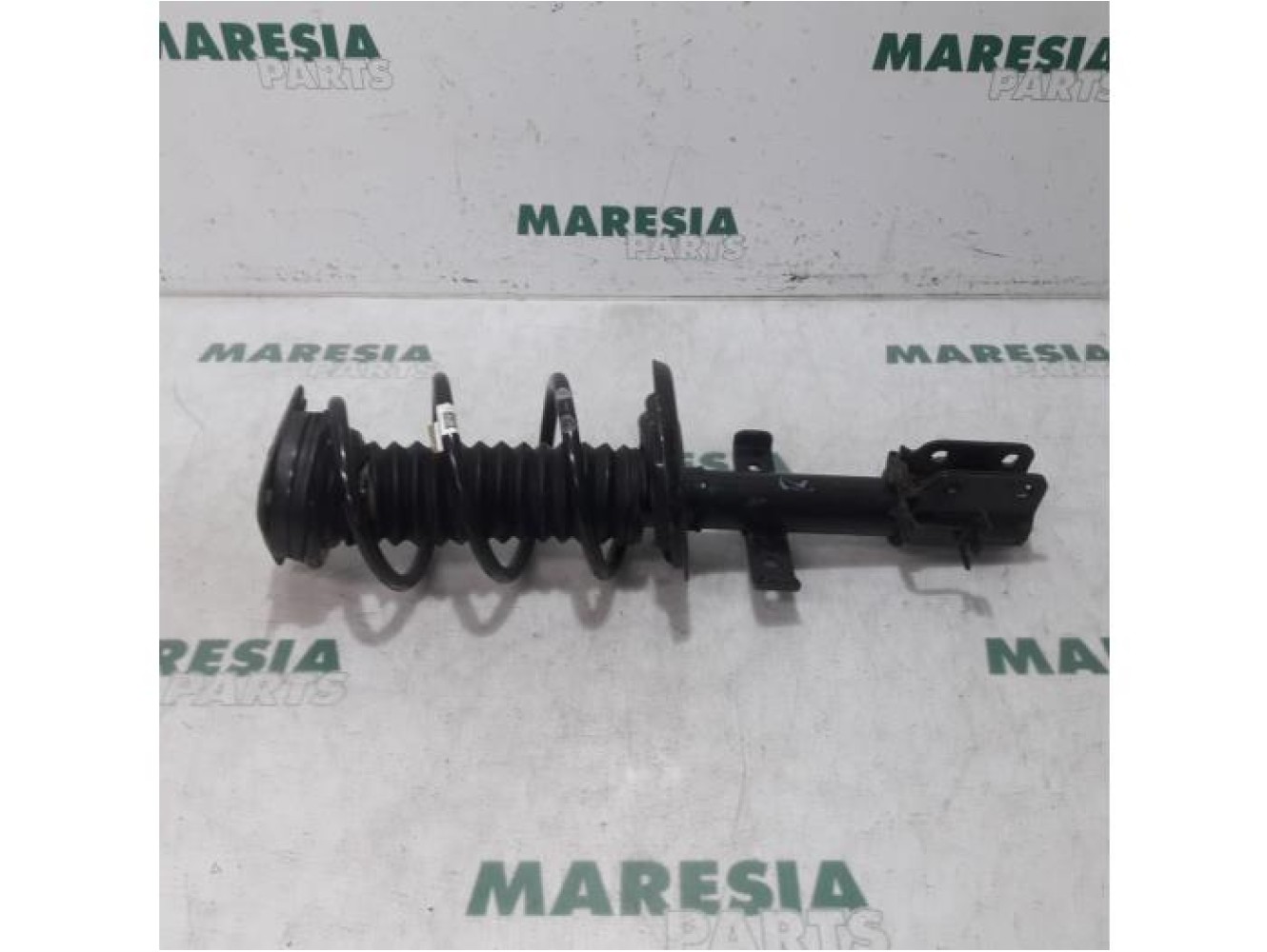 Renault - Clio - Front shock absorber rod, right