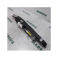 Renault - Megane Scenic - Airbag hemel links