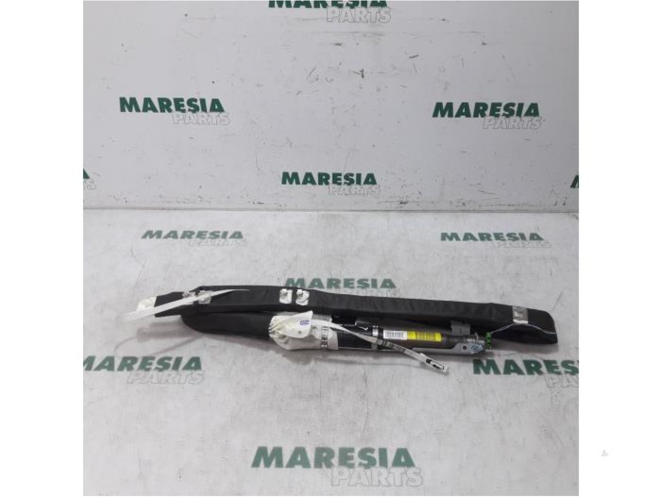 Renault - Megane Scenic - Airbag hemel links