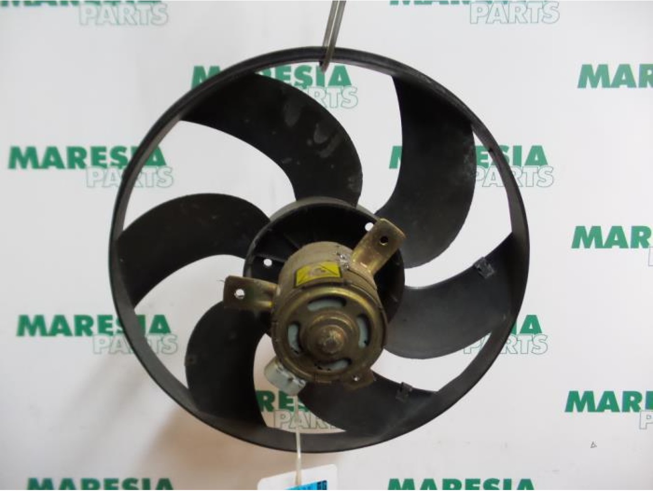 Fiat - Panda - Kühlgebläse Motor