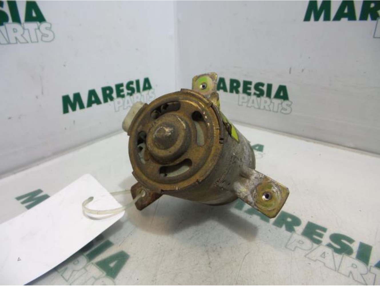 Fiat - Panda - Koelvin Motor