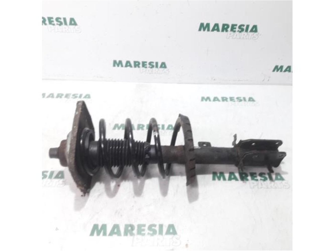 Fiat - Scudo - Front shock absorber rod, right