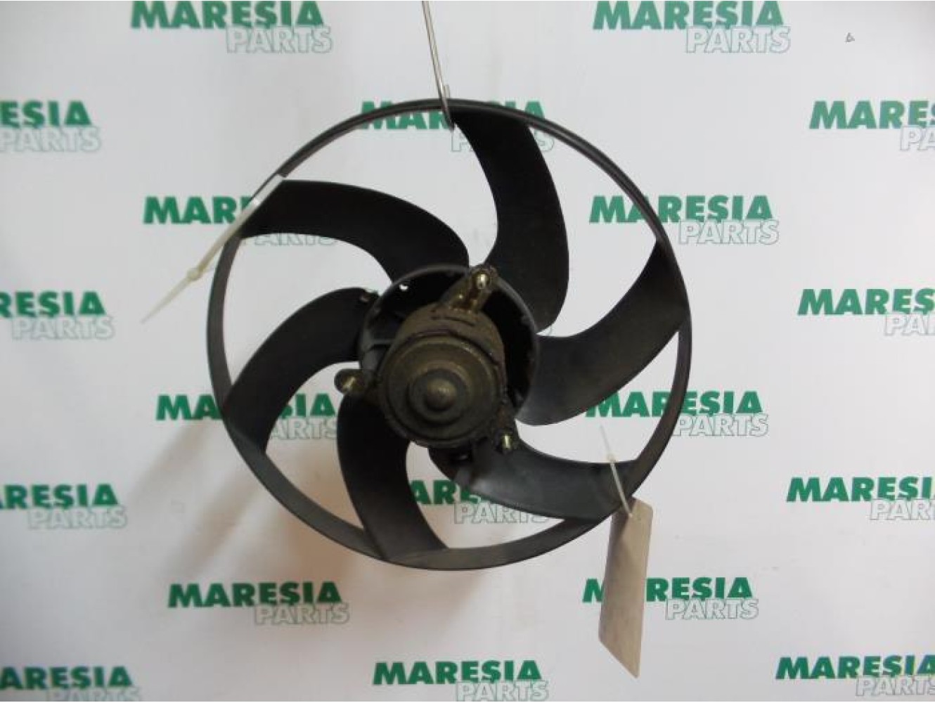 Citroen - Berlingo - Fan motor