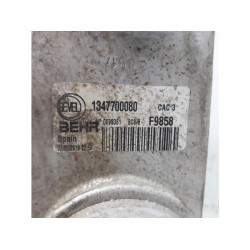 Fiat - Ducato - Intercooler