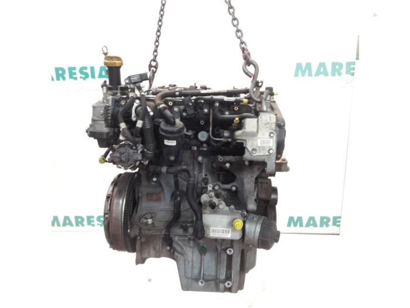 Fiat - Ducato - Engine