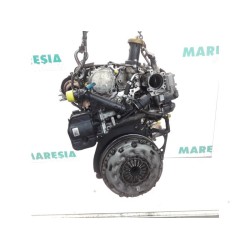 Fiat - Ducato - Engine