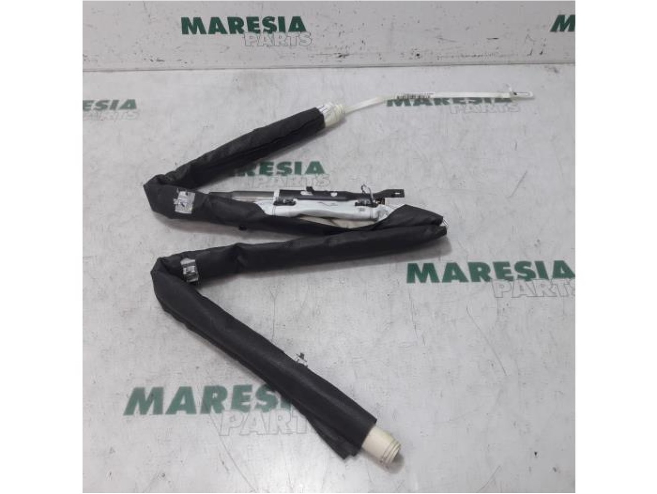Renault - Scenic - Airbag hemel links