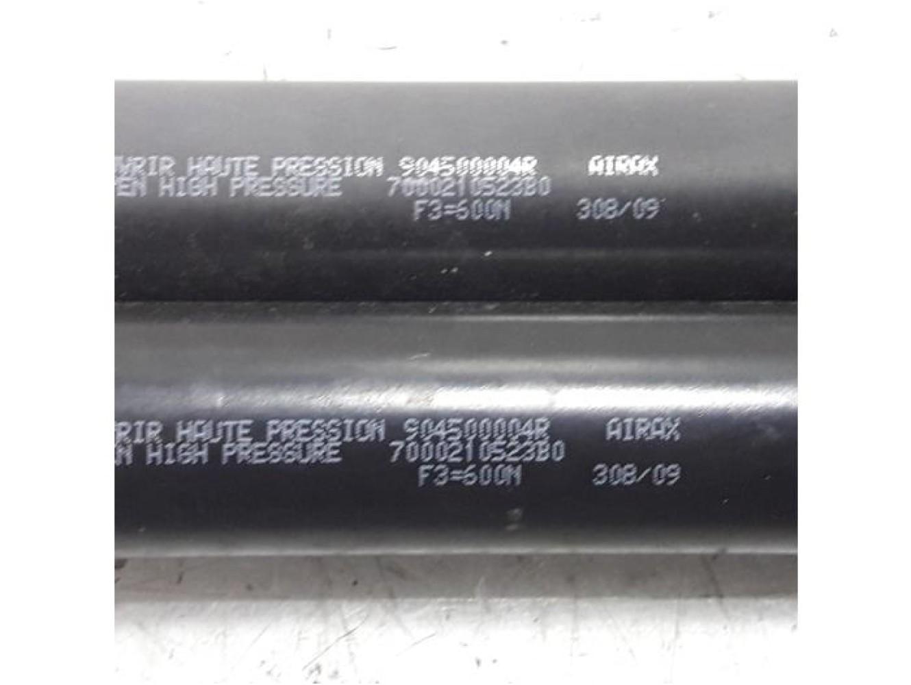 Renault - Scenic - Set of tailgate gas struts