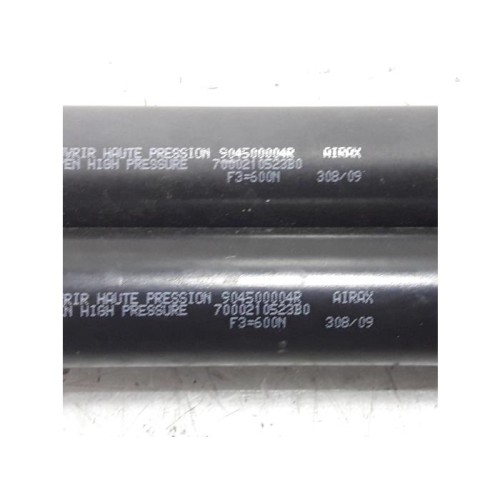 Renault - Scenic - Set of tailgate gas struts