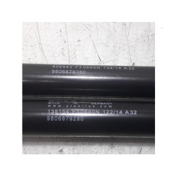 Citroen - C4 Grand Picasso - Set of tailgate gas struts