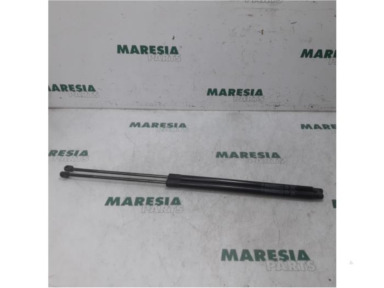 Fiat - Doblo - Set of tailgate gas struts