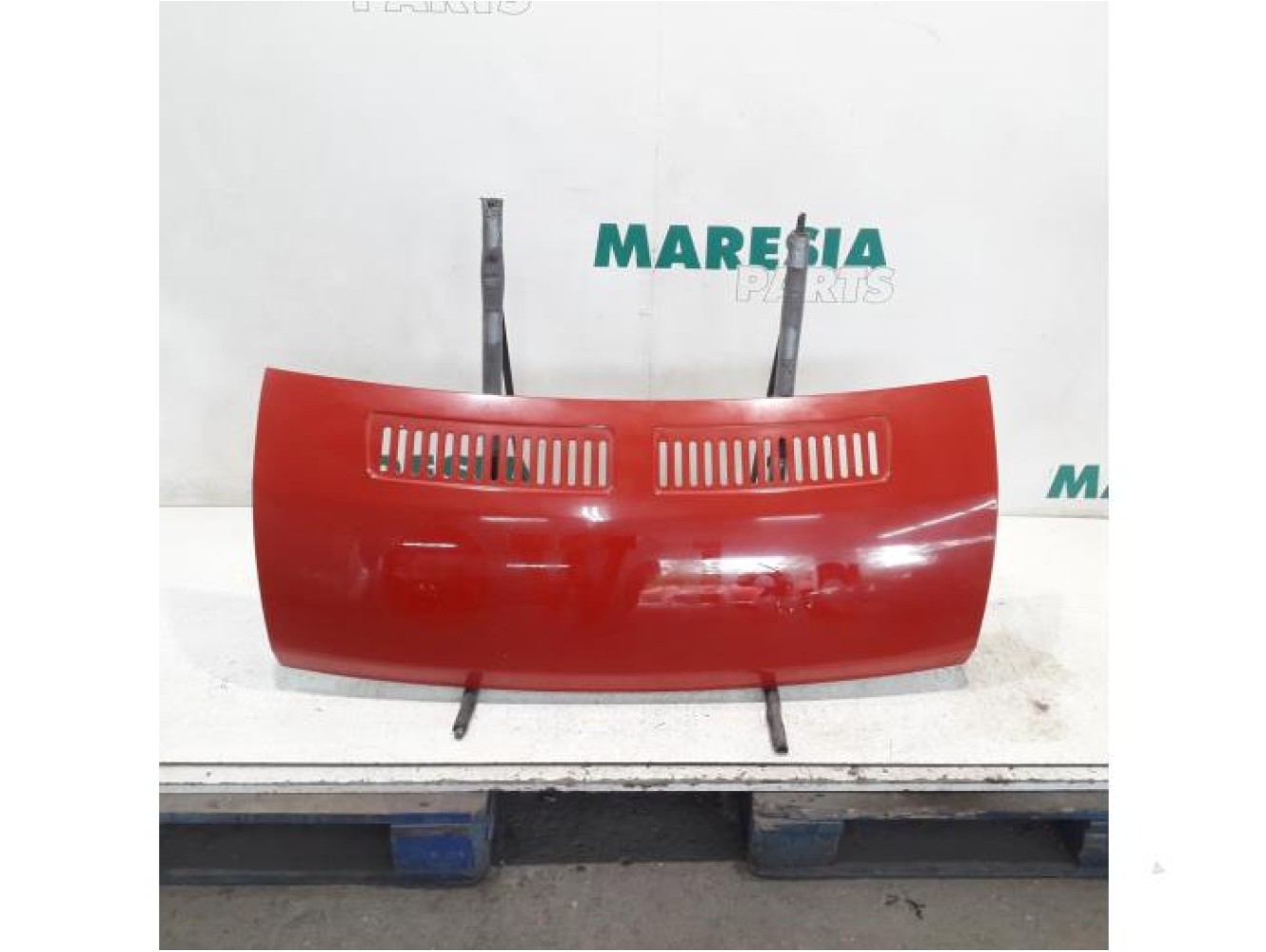 Fiat - Ducato - Motorhaube