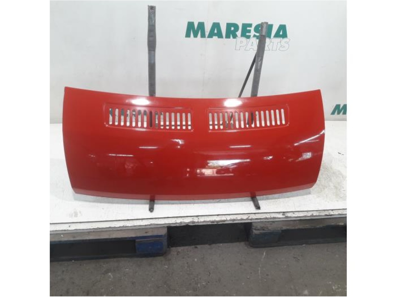 Fiat - Ducato - Motorhaube