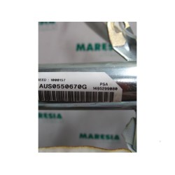 Peugeot - 807 - Airbag hemel links