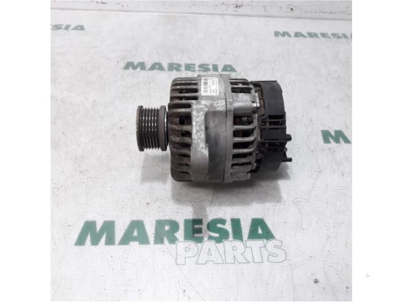 Fiat - Ducato - Dynamo