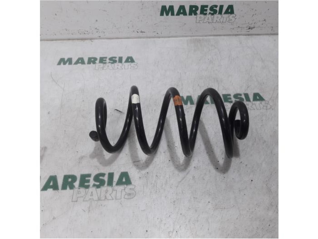 Renault - Koleos - Rear coil spring