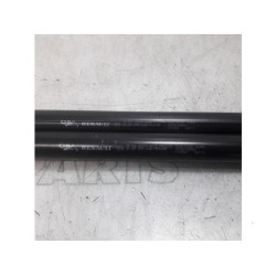 Renault - Megane Scenic - Set of tailgate gas struts