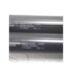 Renault - Megane Scenic - Set of tailgate gas struts