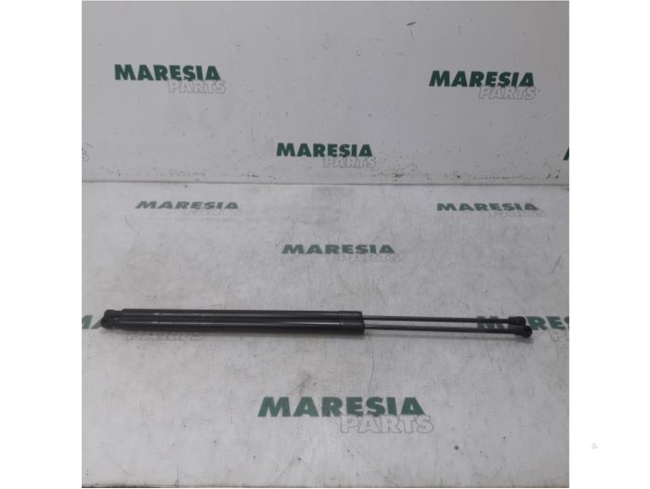 Renault - Megane Scenic - Set of tailgate gas struts