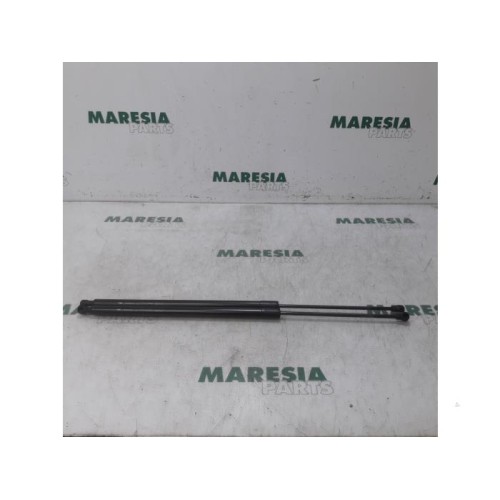 Renault - Megane Scenic - Set of tailgate gas struts