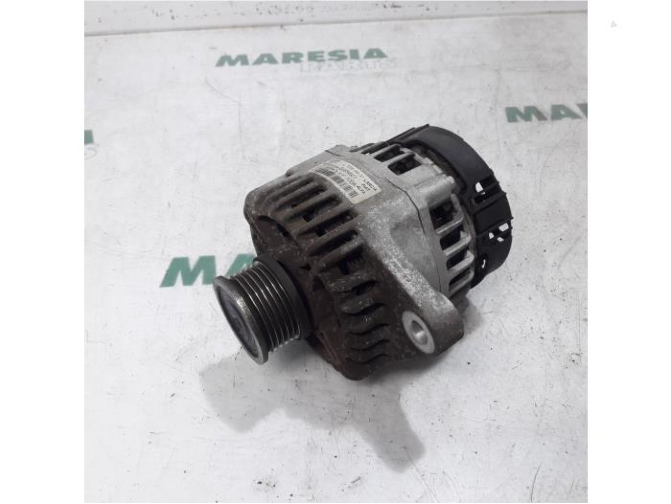 Fiat - Ducato - Dynamo