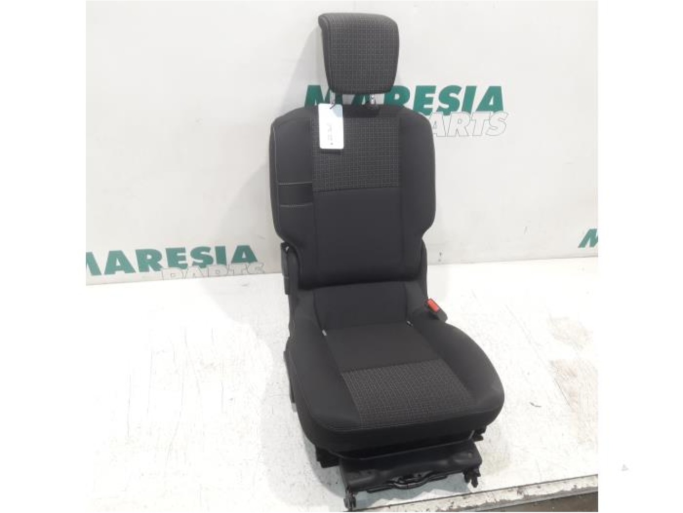 Renault - Megane Scenic - Sitz hinten