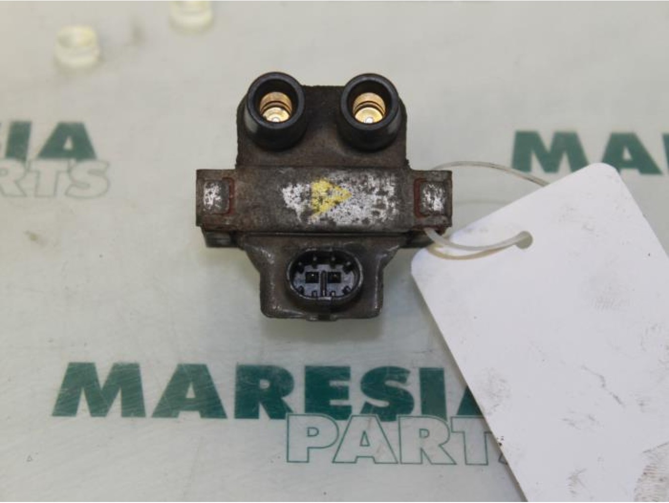 Fiat - Panda - Bobine
