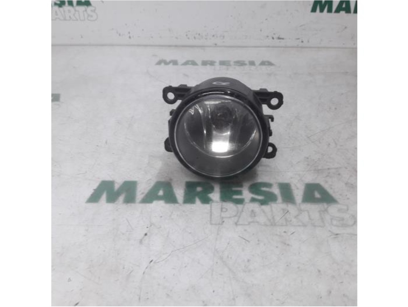Renault - Megane Scenic - Fog light, front right