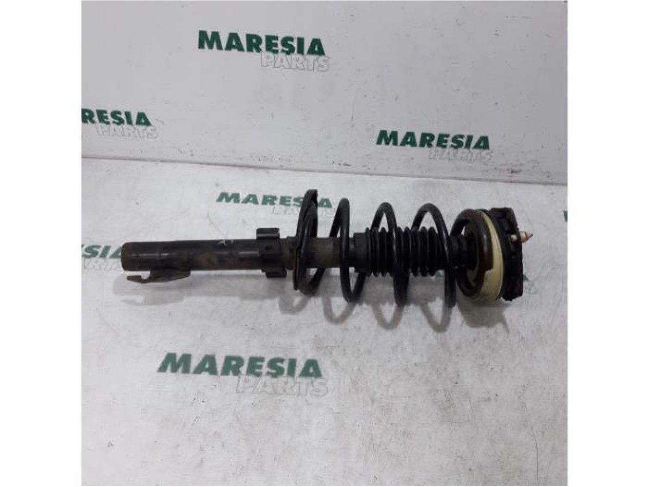 Renault - Megane Scenic - Front shock absorber rod, right