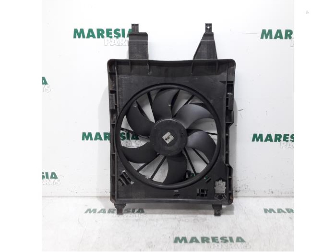 Renault - Megane Scenic - Kühlgebläse Motor