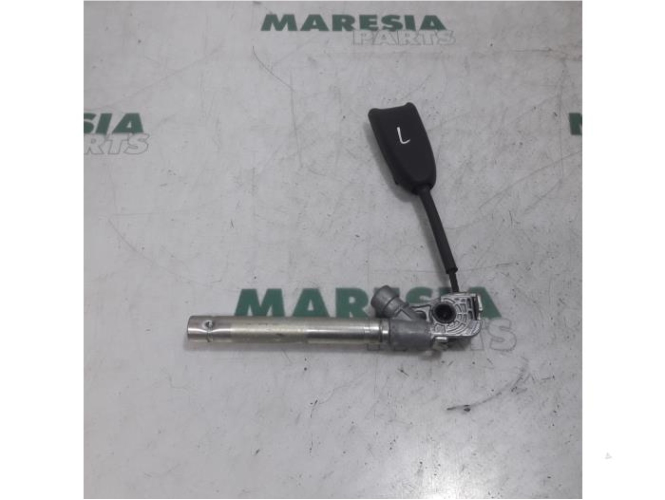Renault - Megane Scenic - Gordelspanner links