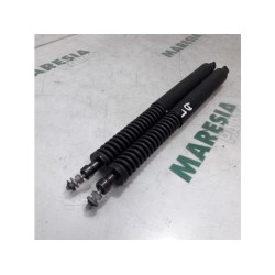 Peugeot - 307 - Set of tailgate gas struts