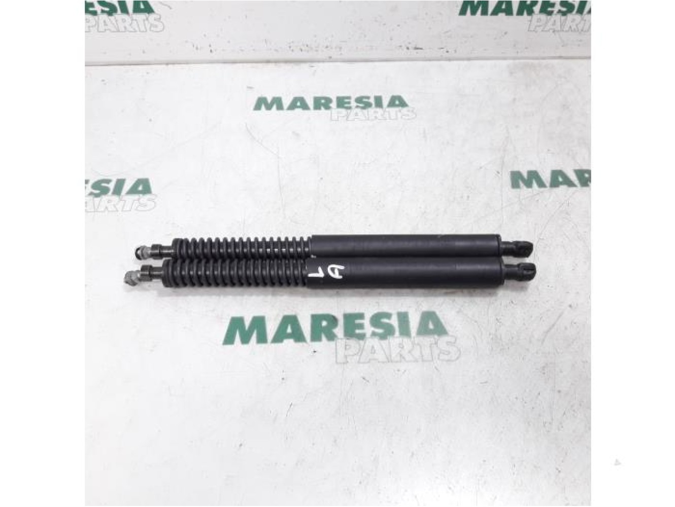 Peugeot - 307 - Set of tailgate gas struts