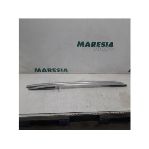 Renault - Clio - Dachreling Set