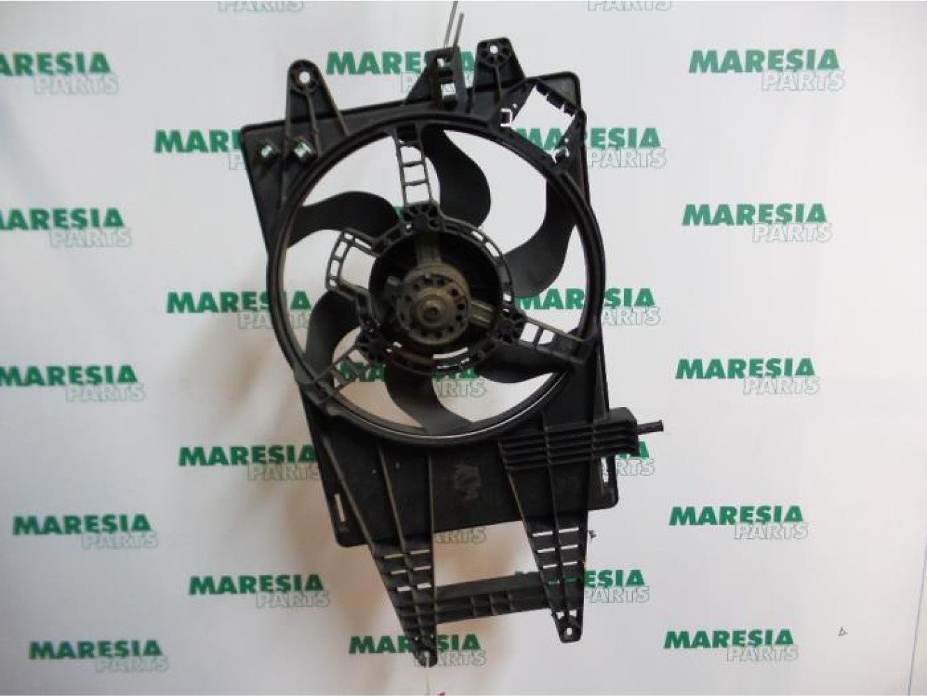 Fiat - Punto - Kühlgebläse Motor