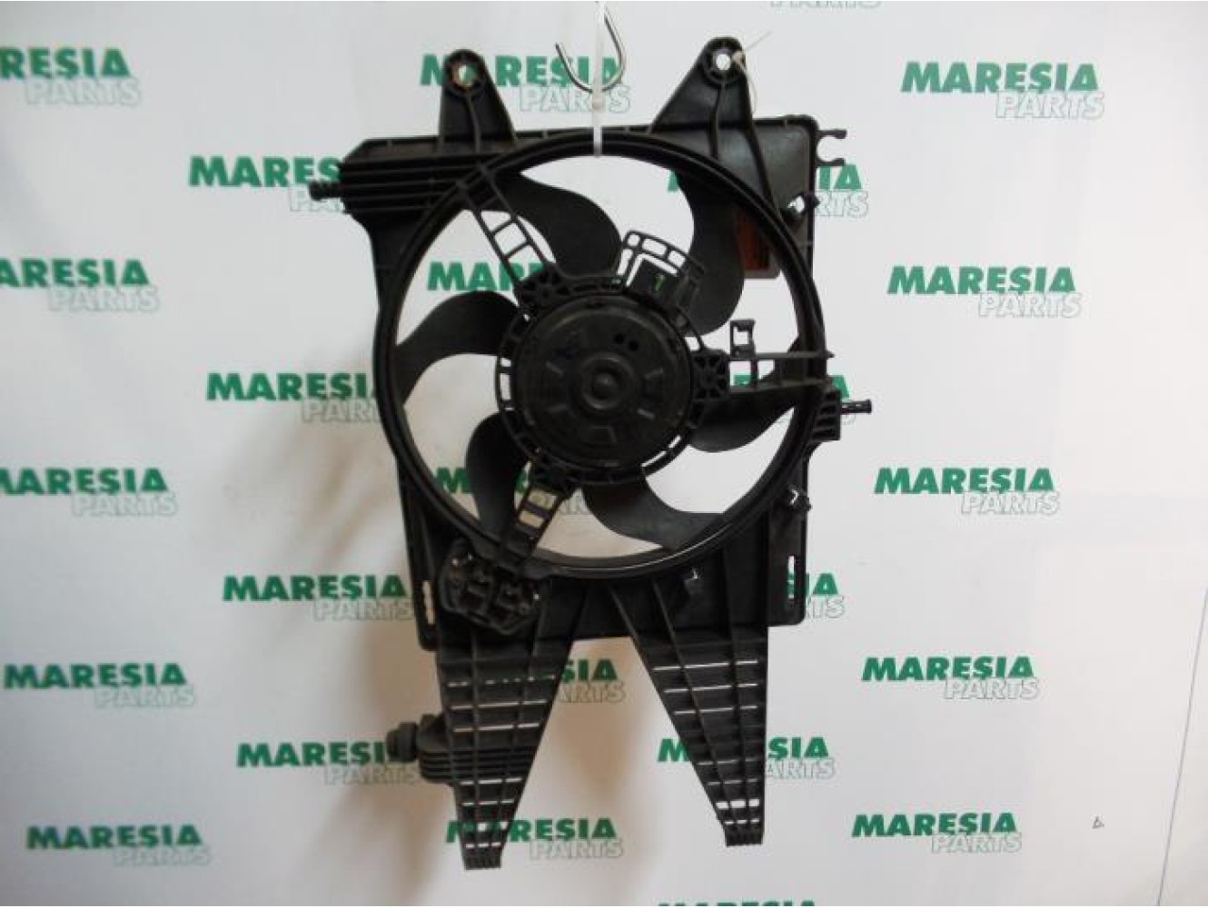 Fiat - Punto - Kühlgebläse Motor