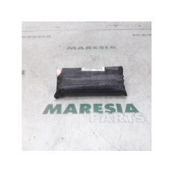 Renault - Clio - Airbag Sitz (Sitzplatz)