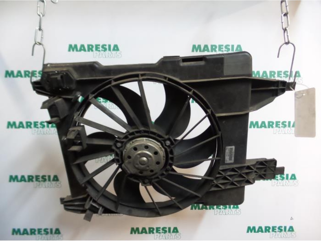 Renault - Megane Scenic - Kühlgebläse Motor