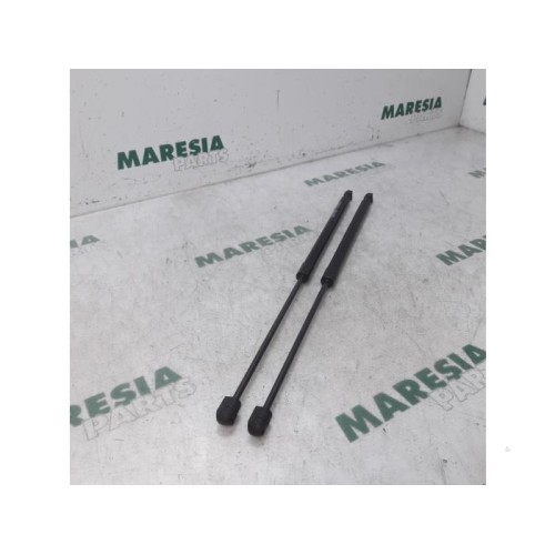 Renault - Koleos - Set of tailgate gas struts