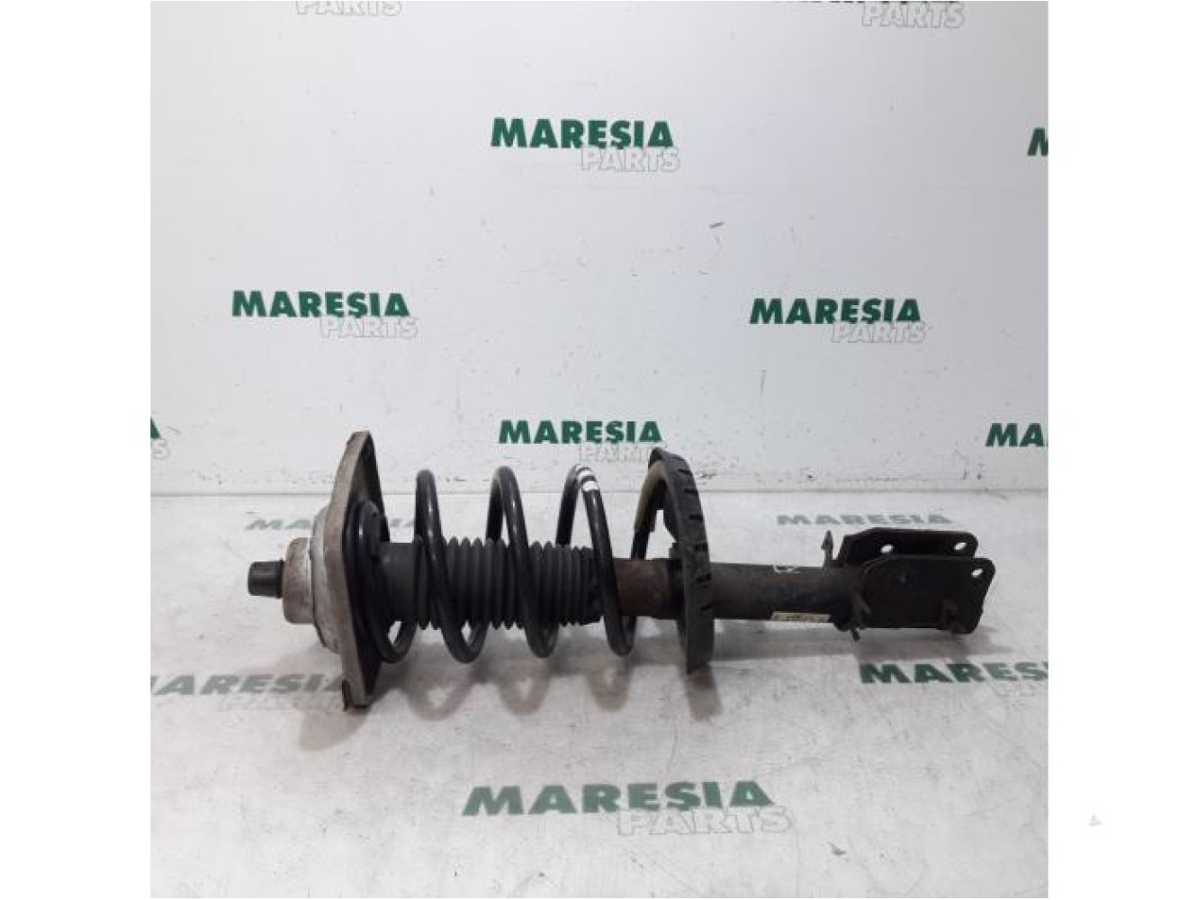 Citroen - Jumpy - Front shock absorber rod, right