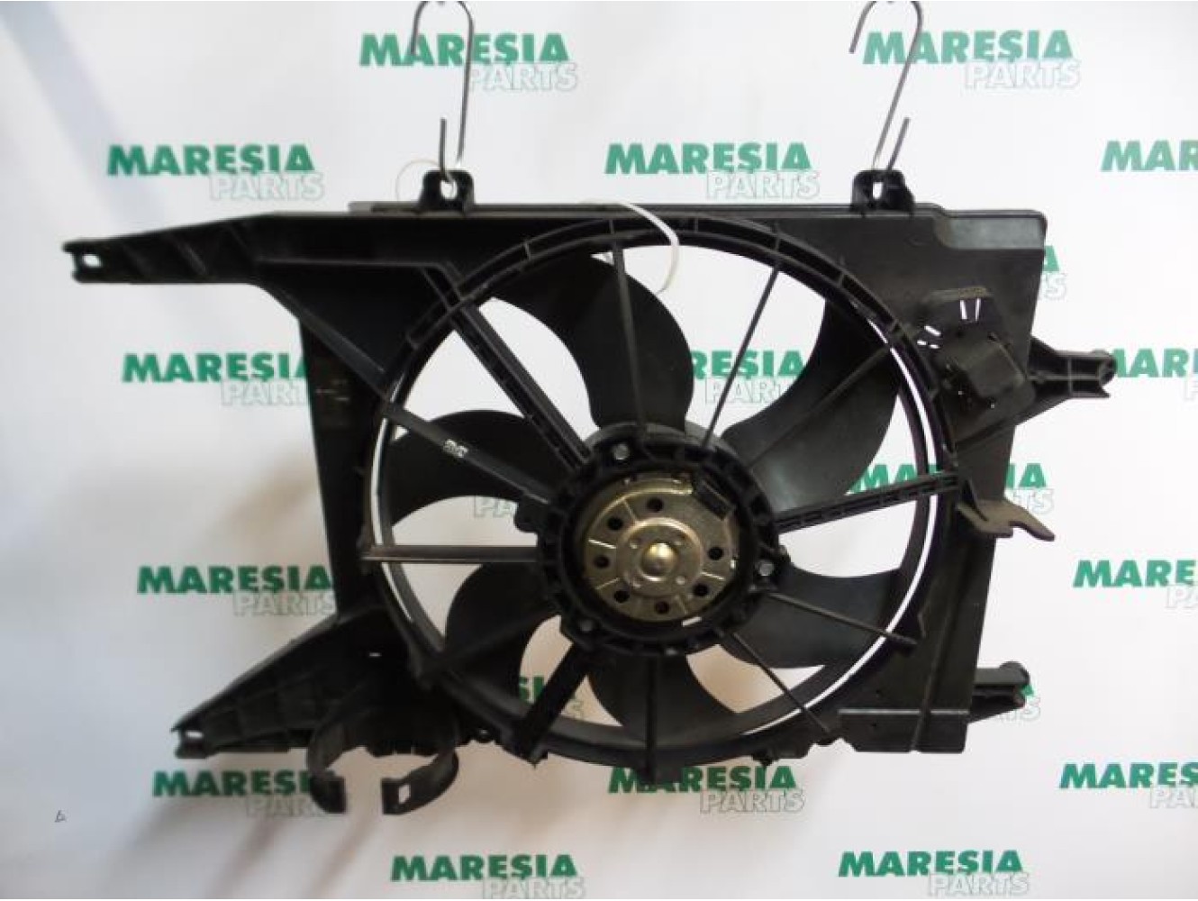 Renault - Megane Scenic - Kühlgebläse Motor