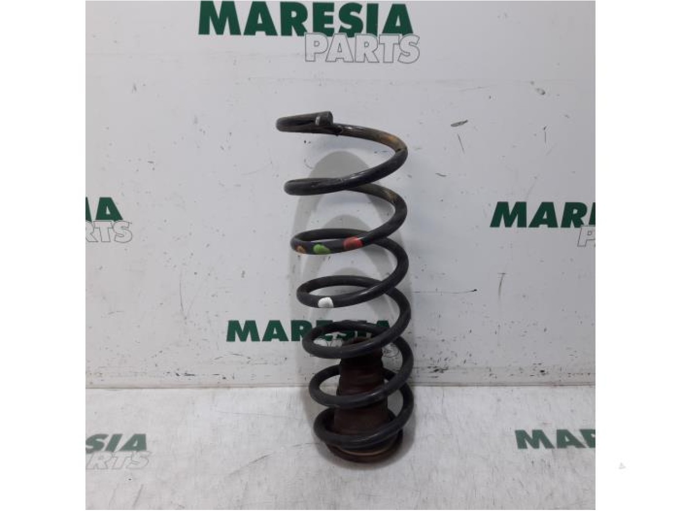 Citroen - Berlingo - Rear coil spring