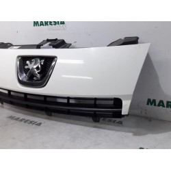 Peugeot - Expert - Grill