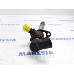 Citroen - C6 - Injector (diesel)