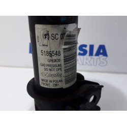 Fiat - Punto Evo - Front shock absorber rod, right