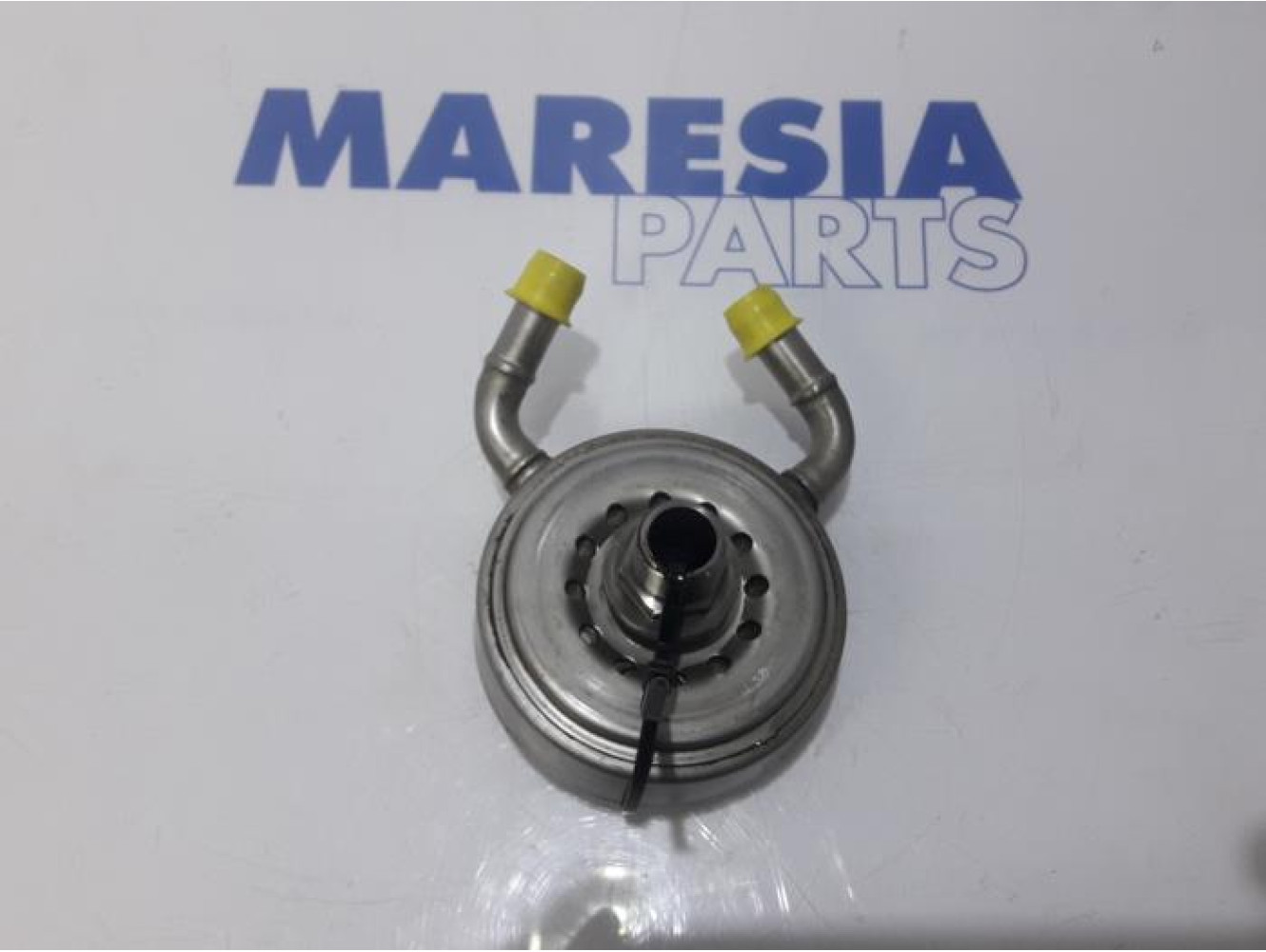 Renault - Scenic - Ölkühler