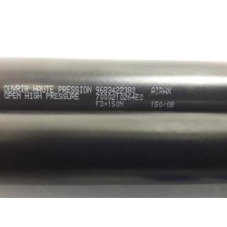 Peugeot - 308 - Set of tailgate gas struts