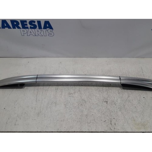 Renault - Clio - Dachreling Set