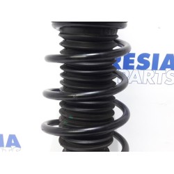 Fiat - Punto Evo - Front shock absorber rod, right